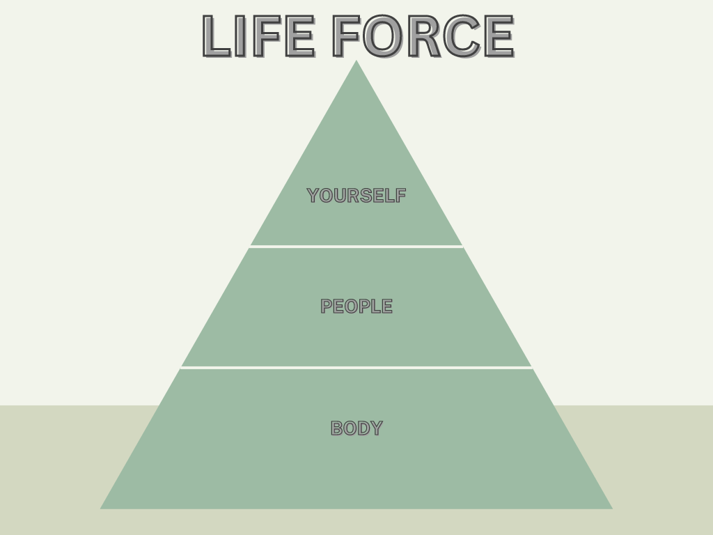 Life Force Triangle